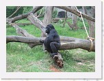 Dierentuin Burgers  Zoo 103 * 3648 x 2736 * (7.33MB)